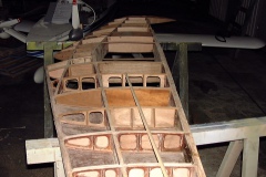 Détail des nervures